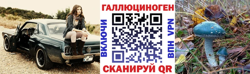 Галлюциногенные грибы MAGIC MUSHROOMS  Кадников 