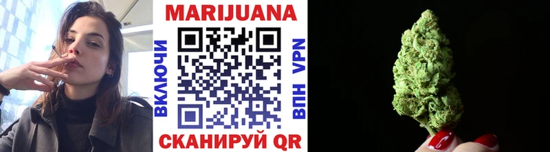Каннабис SATIVA & INDICA  Кадников 